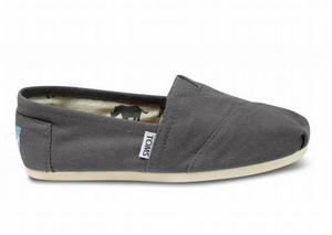 Toms Ash Canvas Dames Classics Schoenen